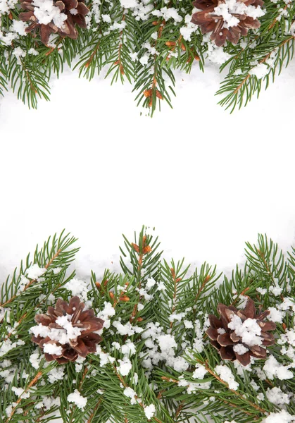 Kar ve koniler ile Noel çerçeve — Stok fotoğraf