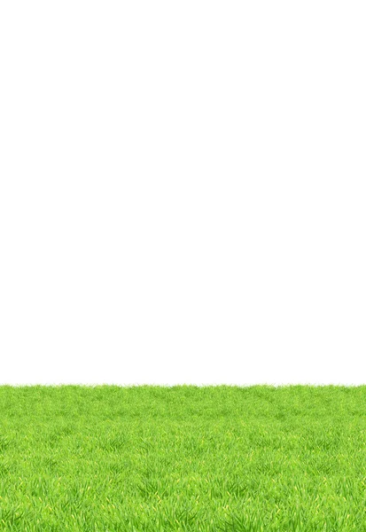 Ізольована зеленій траві — стокове фото