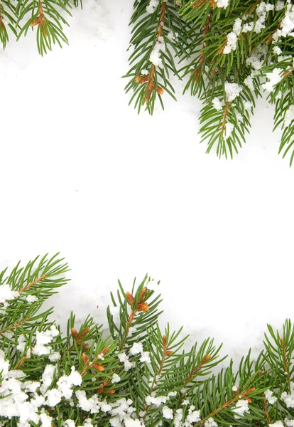 圣诞框架与雪 — 图库照片