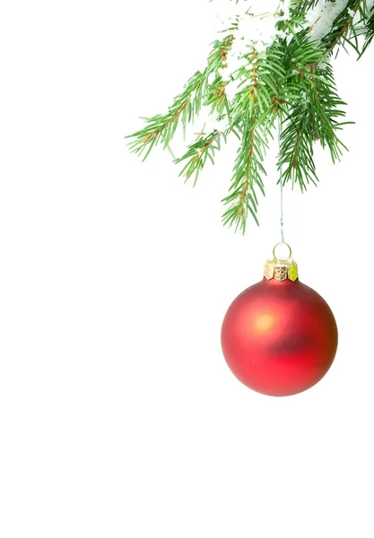 Branch with a Christmas toy — Stock Photo, Image