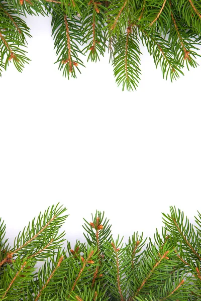 Noel yeşil çerçeve — Stok fotoğraf