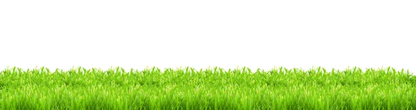 Elszigetelt zöld fű — Stock Fotó