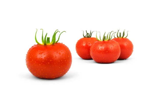 Tomatos — Fotografie, imagine de stoc