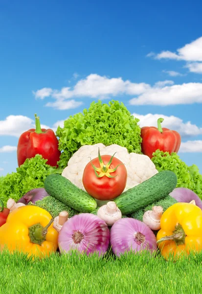 Blandade färska grönsaker — Stockfoto