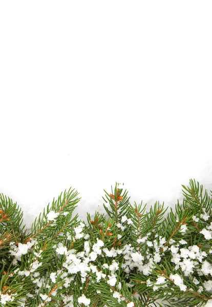 Kerstmis kader met sneeuw — Stockfoto