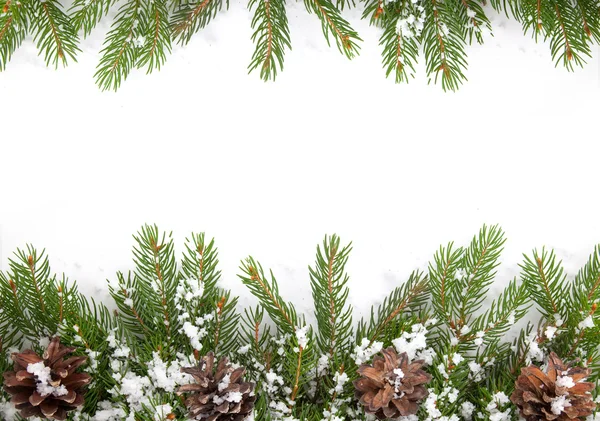 Kerstmis kader met sneeuw en kegels — Stockfoto