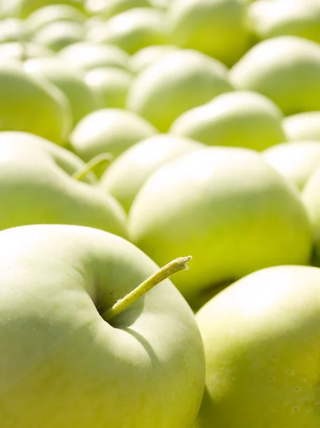 Зеленые яблоки . — стоковое фото