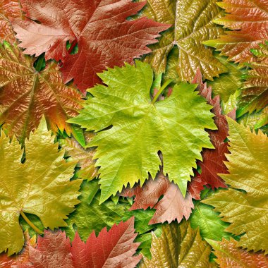 Vine leafage seamless background. clipart