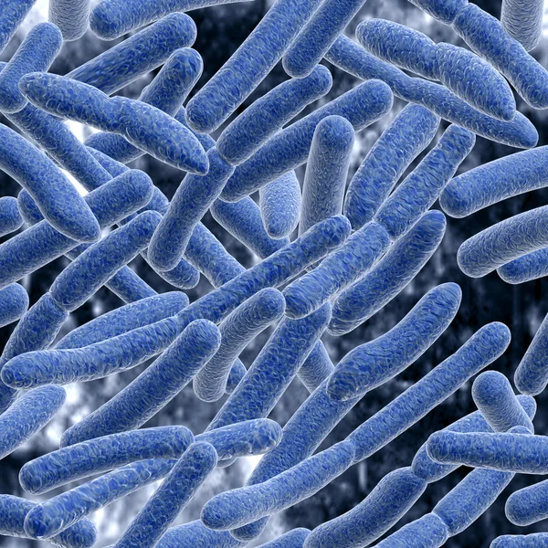 Бактерии. — стоковое фото