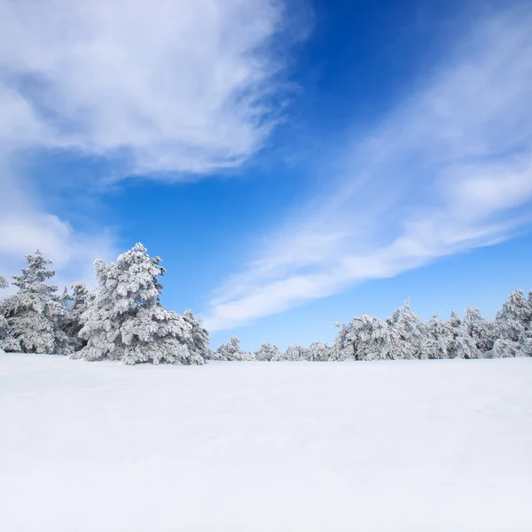 Inverno. — Foto Stock
