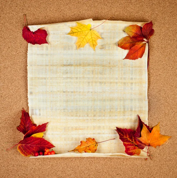 Осенняя нота — стоковое фото