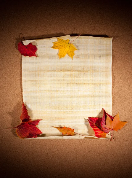 Осенняя нота — стоковое фото