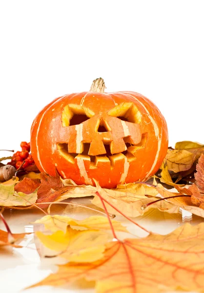 Halloween, old jack-o-lantern on white — Stock Photo, Image