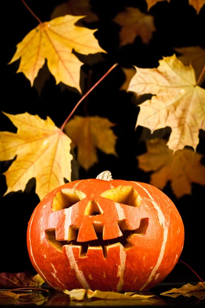 Halloween, oude jack-o-lantern op zwart — Stockfoto