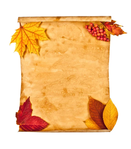 Papel viejo con hojas de otoño, nota de otoño — Foto de Stock
