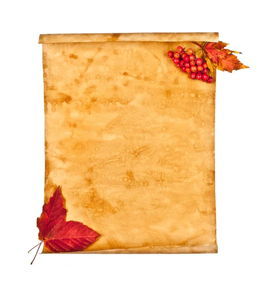 オールド紙と秋の葉、秋のメモ — ストック写真