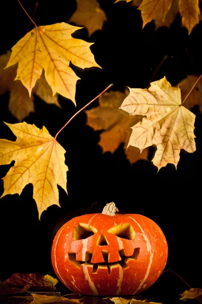 Halloween, starý jack-o lucernou na černém pozadí — Stock fotografie