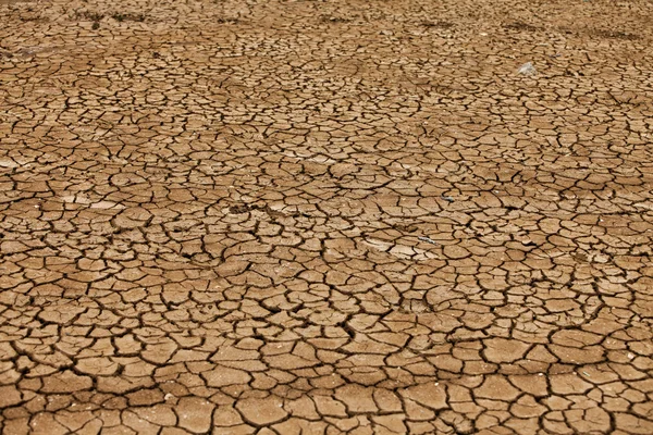 Terre sèche et fissurée — Photo