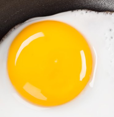 Fried eggs close up clipart