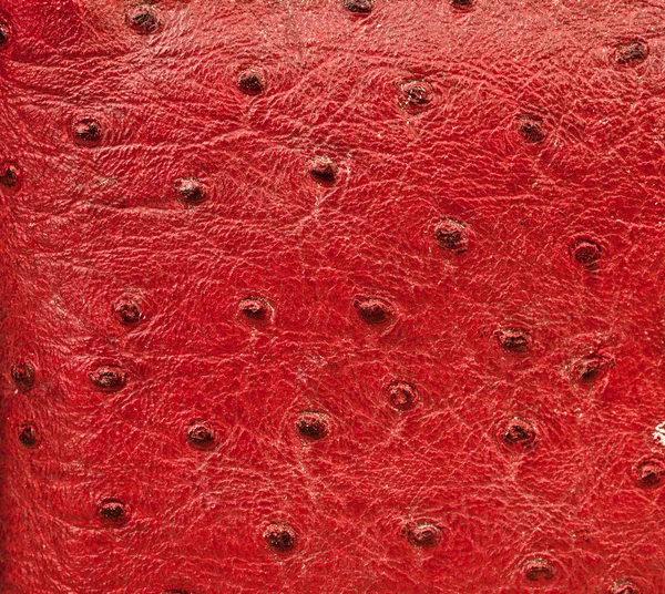 Фон из красной кожи — стоковое фото