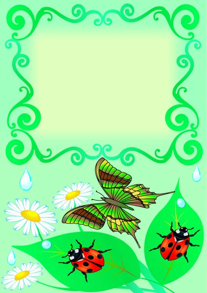 Marco con mariposa, color, hoja, mariquita y gota — Vector de stock