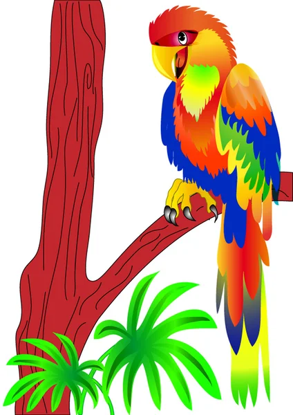 Papuga siedzi na drzewie — Wektor stockowy