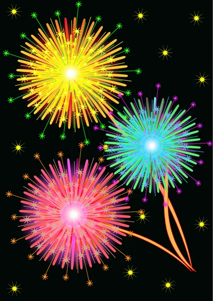 Bright salute firework — Stock Vector