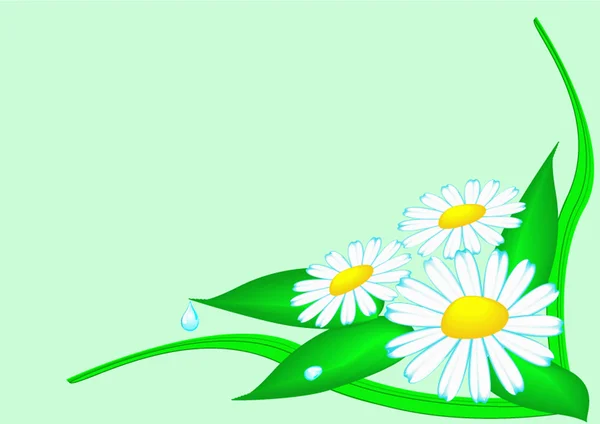 Fundo flores e ervas com orvalho — Vetor de Stock