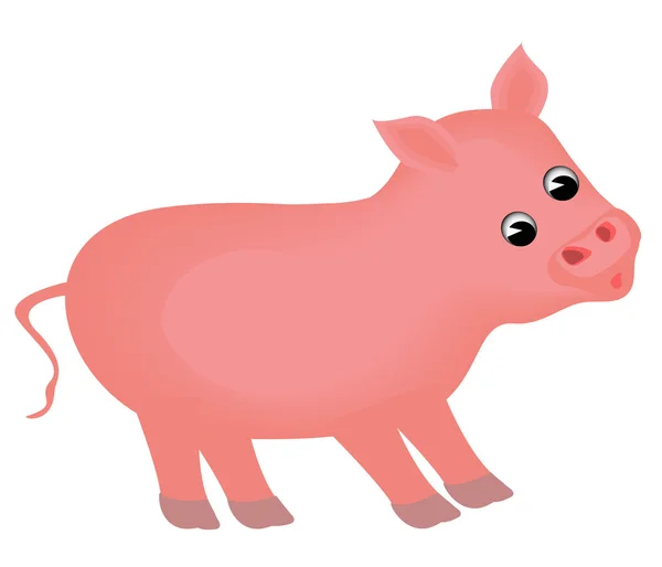 Small piglet insulated — Stock Vector
