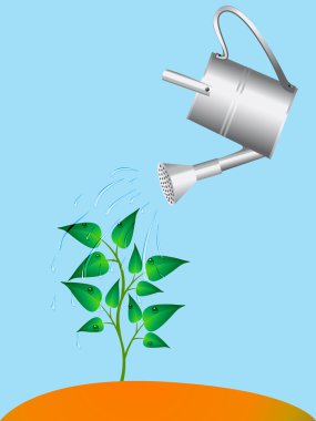 Plant is watered from sprinkling can clipart