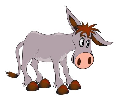 Young charming ass on white background clipart