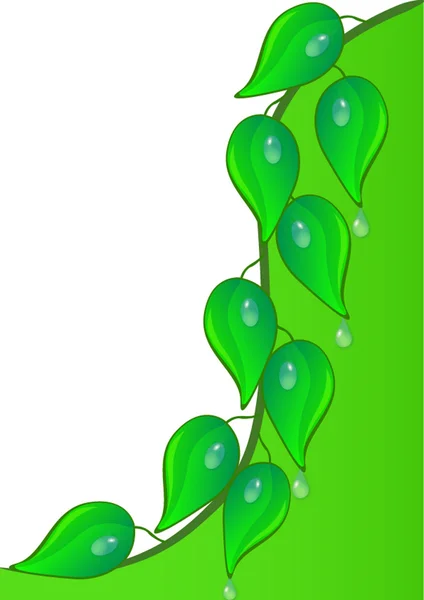 Background with green sheet and dewdrop — Stock Vector