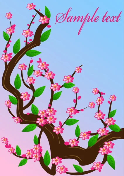 Background cherry blossom branches — Stock Vector