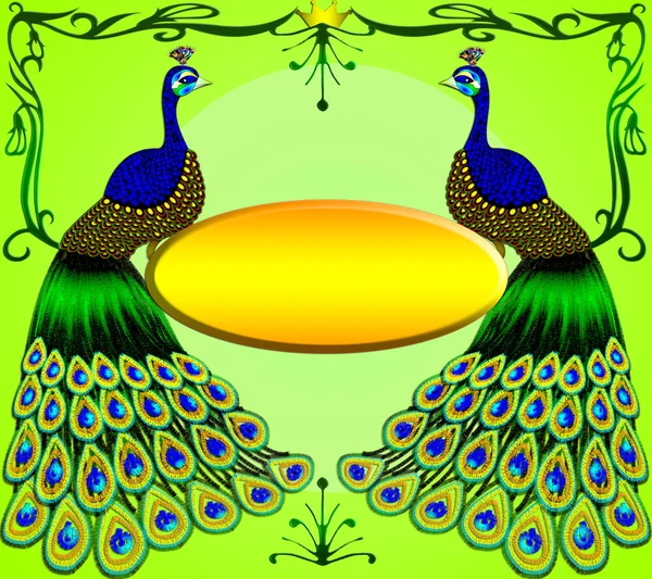 Two peacocks with message — Stock Photo, Image