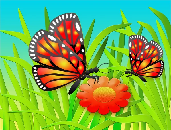 Fjärilar och blommor — Stockfoto
