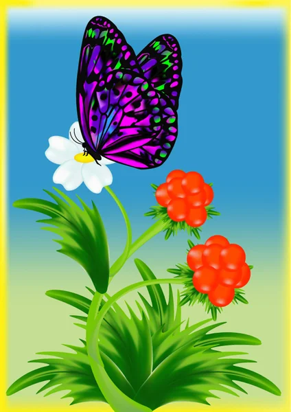 上花和多汁浆果的蝴蝶 — 图库矢量图片