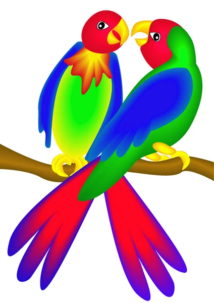 Heldere papegaai geïsoleerd — Stockvector