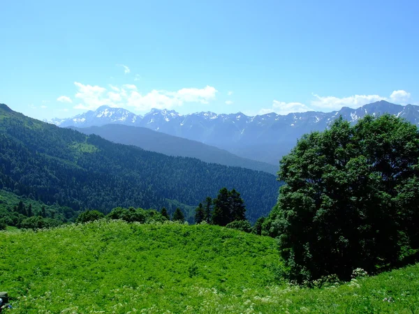 Кавказькі гори — стокове фото