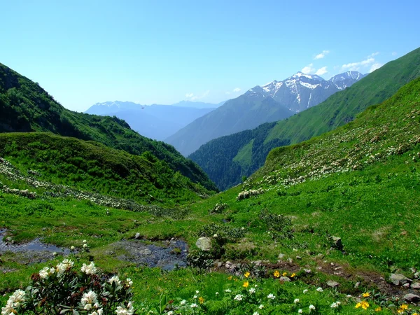 Kaukaz — Zdjęcie stockowe