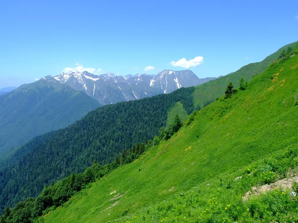 Montañas del Cáucaso —  Fotos de Stock