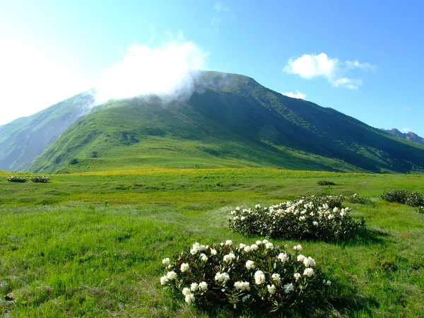 Pegunungan Kaukasus — Stok Foto