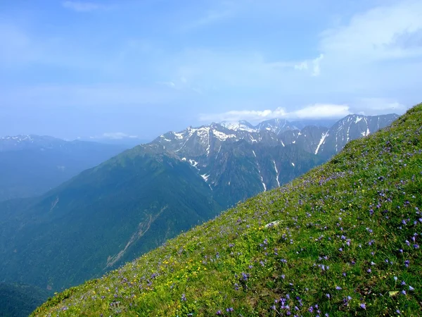Kaukasus-bjergene - Stock-foto