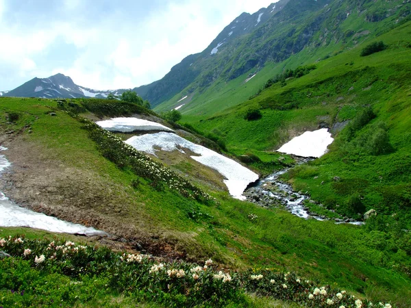 Pegunungan Kaukasus — Stok Foto