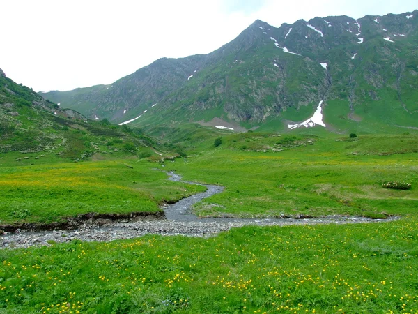 Montagnes du Caucase — Photo