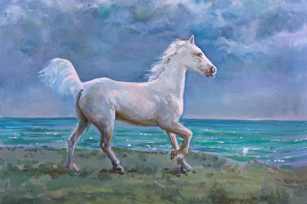 Bílý kůň Stock Obrázky