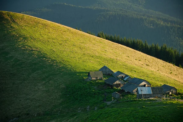 Alpejskie gospodarstwa — Zdjęcie stockowe