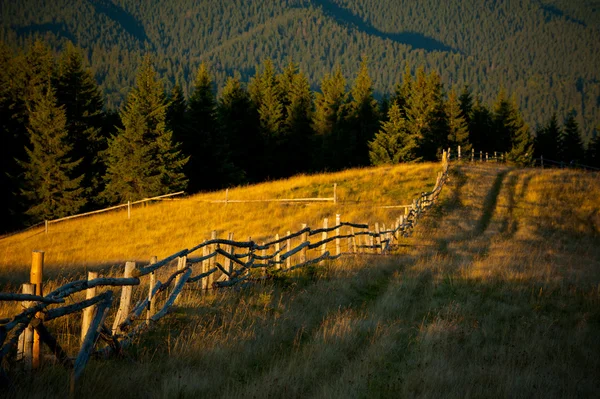 Alpské pastviny na západ slunce — Stock fotografie