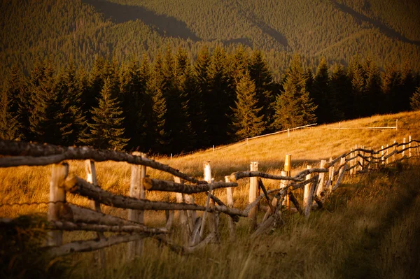 Pastviny v horách — Stock fotografie