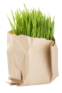 Organic Wheat Grass clipart