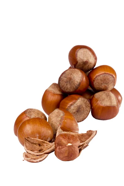 Brown Hazelnuts — Stock Photo, Image